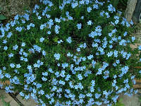resize7436.jpg