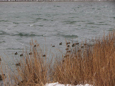 resize7692.jpg