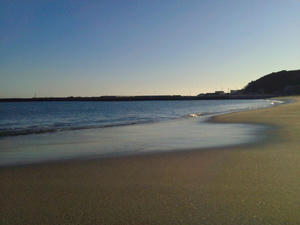 NEC_0057.JPG