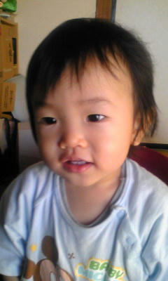 musuko20081213.jpg