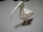 PAP_0071.JPG