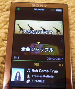 SONY NW-A856