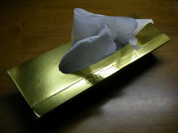 ではなく、ティッシュ箱