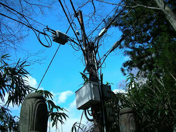 電信柱
