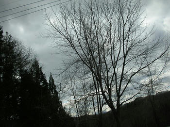 早朝、山の中…