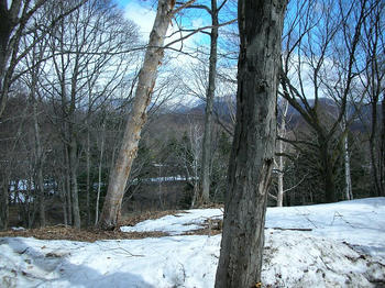 なんの変哲もない