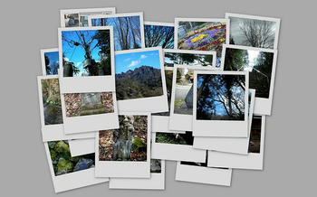 なんとなく、地味な写真が多いなぁ