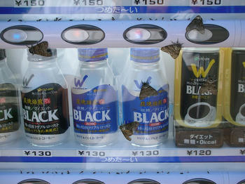 自動販売機に張り付くたくさんの“蛾”