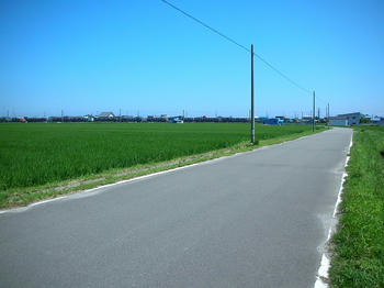 なかなか良い情景だと思うんですけどね