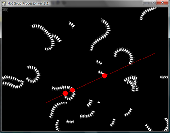 蟲を切断、かわいそう