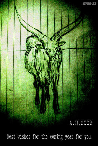 Best wishes for the coming year for you.