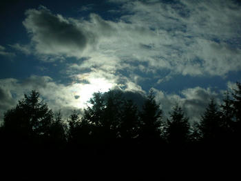 空を撮りすぎですかね…