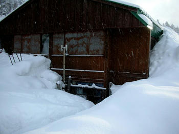 1階が埋まってる