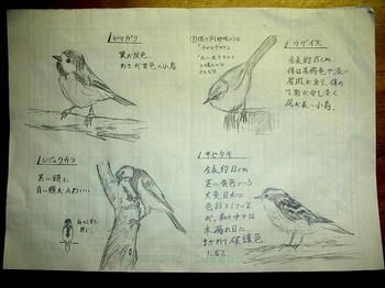 ヤマガラ/シュジュウラカ/ウグイス/キビタキ