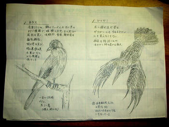 カケス/ヤマセミ