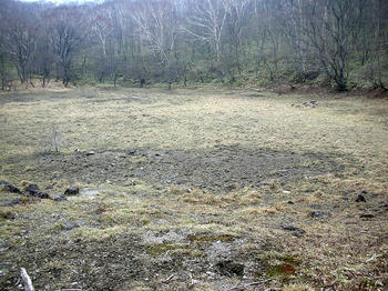 どの辺が血なのやら