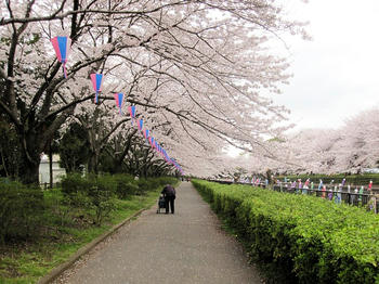 なんか哀愁がある