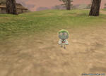 コロボックル