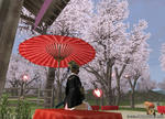 桜01