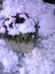 110215_101804.jpg
