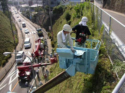 070728kusakari2.jpg