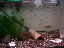 DSCF1369.jpg