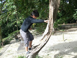 DSCF2034.jpg