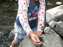 PRI_20081013104216.jpg