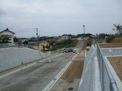 DSCF2151.jpg