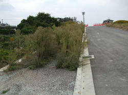 DSCF2154.jpg