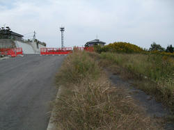 DSCF2155.jpg