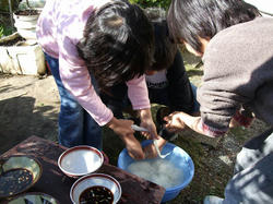 DSCF2460.jpg