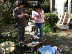 DSCF2461.jpg