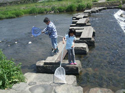 DSCF2747.jpg