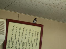 DSCF2994.jpg