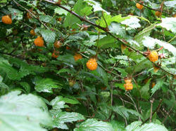 DSCF3216.jpg