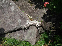 DSCF3292.jpg
