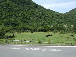 DSCF3303.jpg