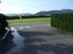DSCF3577.jpg