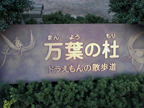 SA3D0084.JPG