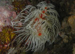 254aa958.JPG