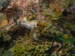 327c0fd8.JPG