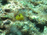 56089eb0.JPG