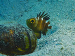 10d80359.jpg