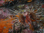 f5d8343e.jpg