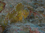 165e2b98.jpg