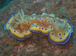 1ca6cc87.jpg