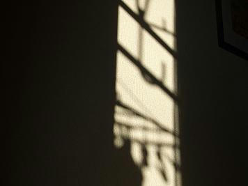 DSCF0914.JPG