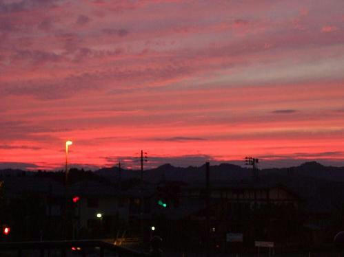 20080918-4.JPG
