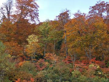 DSCF1060.JPG